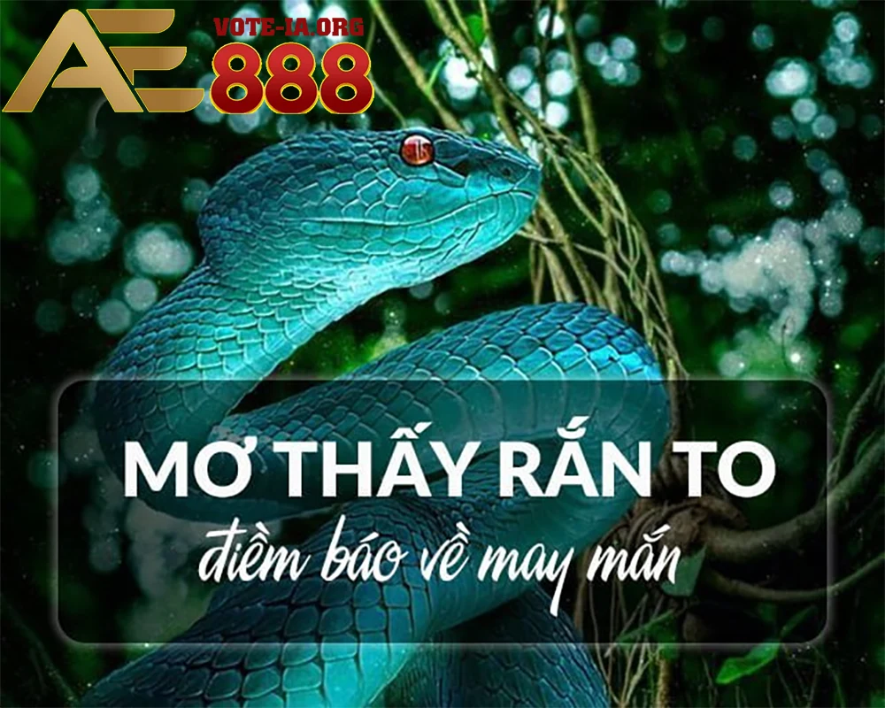 Rắn tượng trưng cho sự tái sinh và sự thay đổi tích cực.
